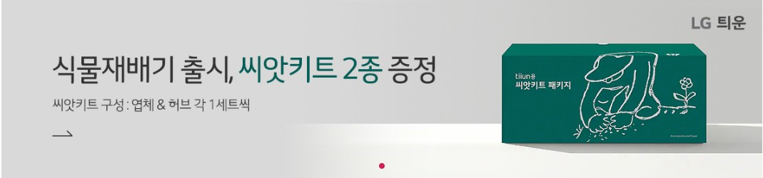 식물