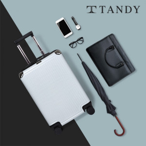 78. [TANDY] 탠디 시크 캐리어 2종 세트_20+24_스타 화이트(항공커버포함)
