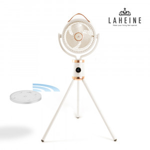 71. [LAHEINE] 라헨느 더 퀸 제트 10인치 유선 리모콘 서큘레이터_LHNF-1750W