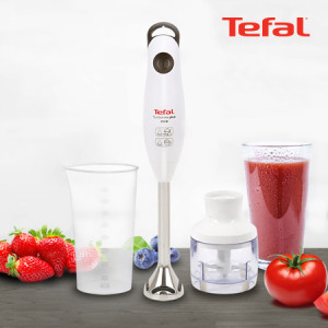 25. [Tefal] 테팔 터보믹스 플러스 핸드블렌더_HB1021