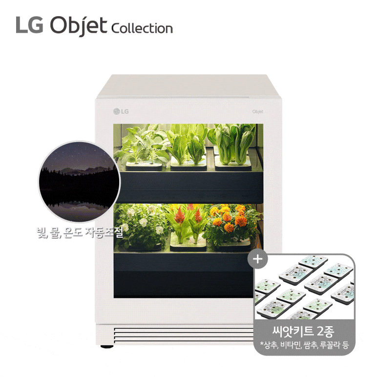 L061E1R